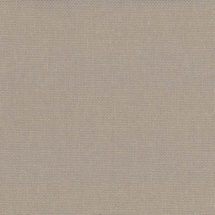 Bolsa Sand by Kasmir Designer Fabric 5053 57% Cotton
43% Polyester
 TURKEY 87,000 Wyzenbeek Double Rubs </p><p>Repeat: Horizontal: N/A and Vertical: N/A 55 - Swanky Fabrics -