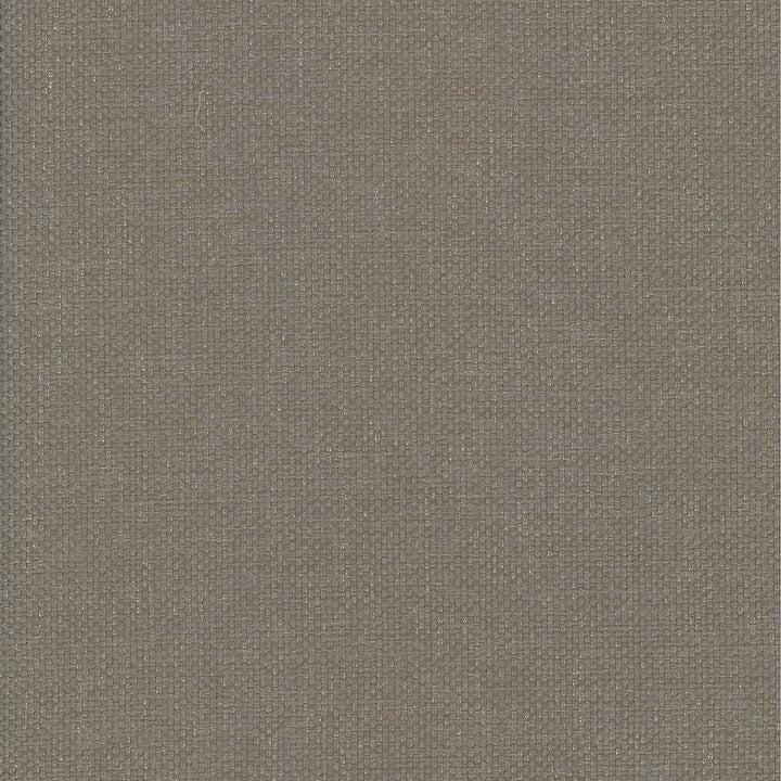Bolsa Taupe  by Kasmir Designer Fabric 5053 57% Cotton
43% Polyester
 TURKEY 87,000 Wyzenbeek Double Rubs Horizontal: N/A and Vertical: N/A 55  - Swanky Fabrics -