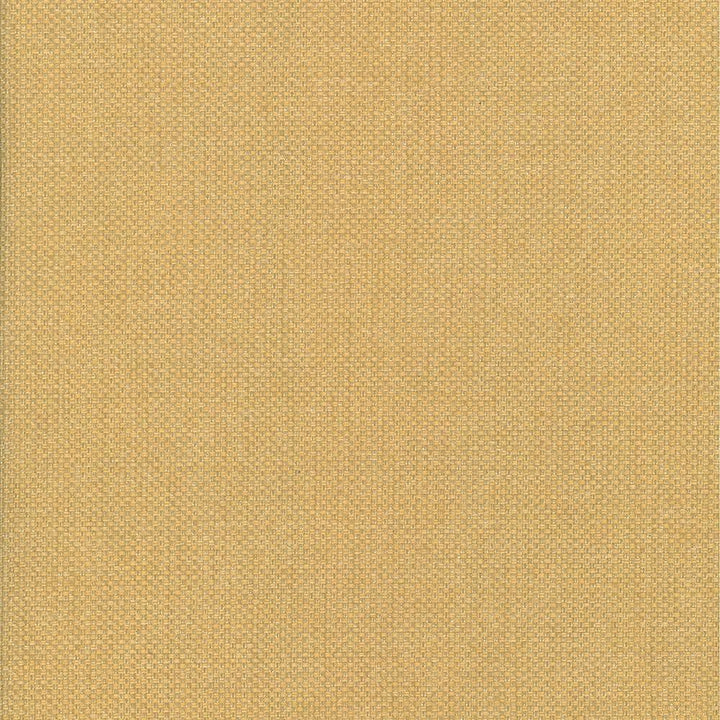 Bolsa Toffee by Kasmir Designer Fabric 5053 57% Cotton
43% Polyester
 TURKEY 87,000 Wyzenbeek Double Rubs </p><p>Repeat: Horizontal: N/A and Vertical: N/A 55 - Swanky Fabrics -