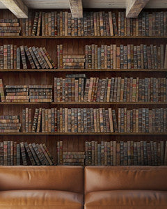 Mind The Gap Wallpaper BOOK SHELVES Premium Wallpaper (WP20112)