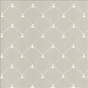 Borderline Champagne by Kasmir Designer Fabric