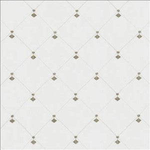 Borderline Smoke by Kasmir Designer Fabric