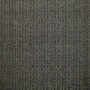 Bouvier Granite by Kasmir Designer Fabric