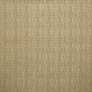 Bouvier Sisal by Kasmir Designer Fabric