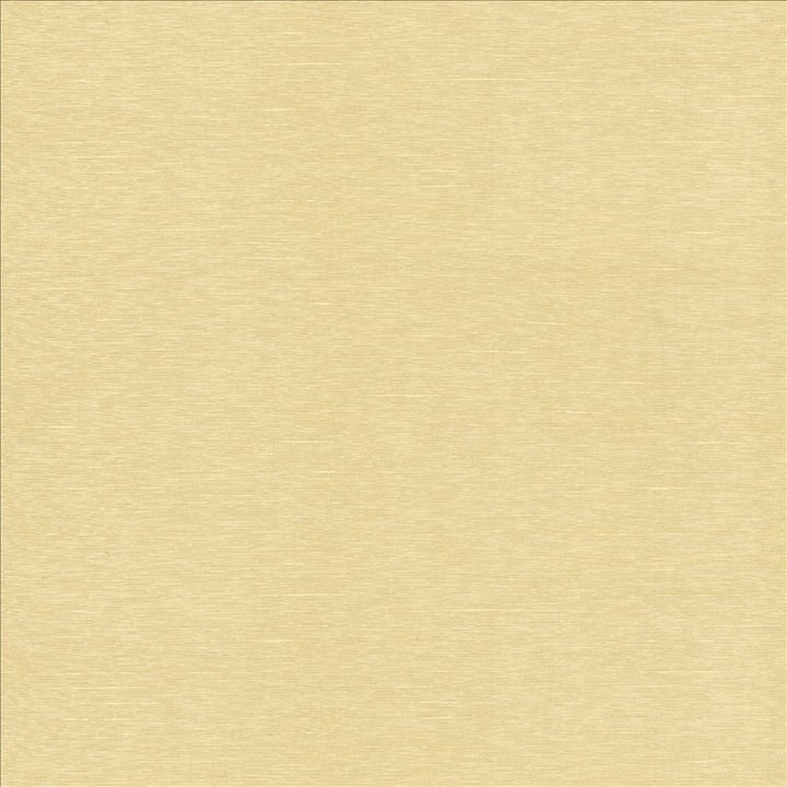 Boxwood Beige by Kasmir Designer Fabric 5002 55% Cotton
45% Polyester
 TAIWAN </p><p>Repeat: Horizontal: N/A and Vertical: N/A 54 - 55 - Swanky Fabrics -
