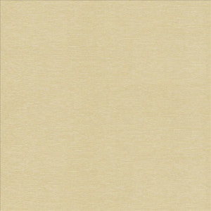 Symphony /D Buff  by Kasmir Designer Fabric