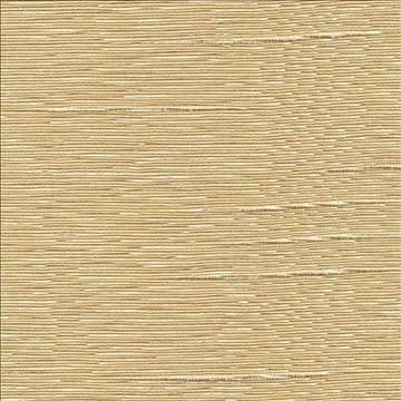 Boxwood Chamois by Kasmir Designer Fabric 1319 55% Cotton 45% Polyester TAIWAN 30,000 Wyzenbeek Double Rubs H: N/A, V: N/A 54 - 55 - Swanky Fabrics - Kasmir