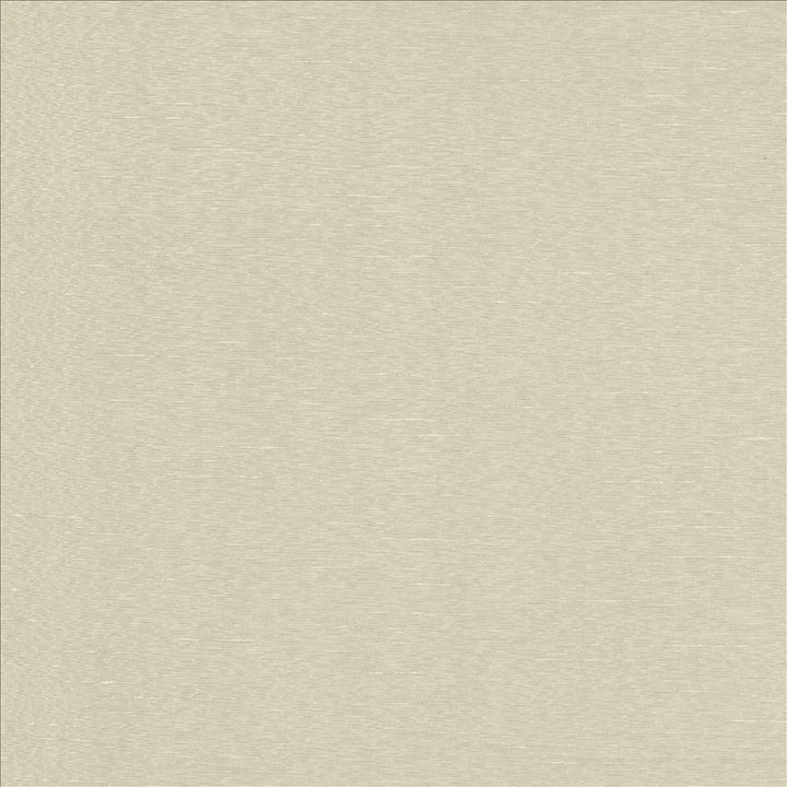 Boxwood Crystal by Kasmir Designer Fabric 5002 55% Cotton
45% Polyester
 TAIWAN </p><p>Repeat: Horizontal: N/A and Vertical: N/A 54 - 55 - Swanky Fabrics -