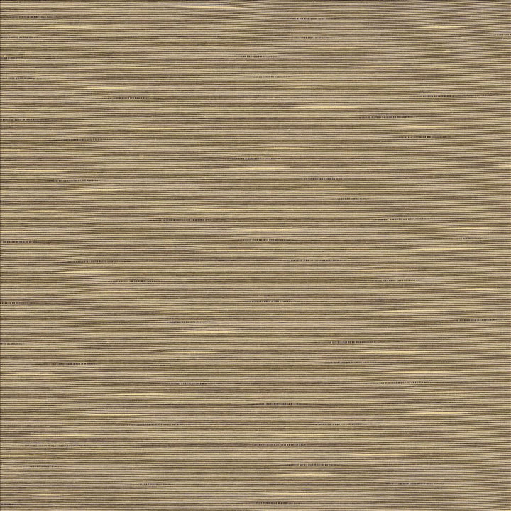 Boxwood Dove  by Kasmir Designer Fabric 5149 55% Cotton
45% Polyester
 TAIWAN 30,000 Wyzenbeek Double Rubs Horizontal: N/A and Vertical: N/A 54  - Swanky Fabrics -