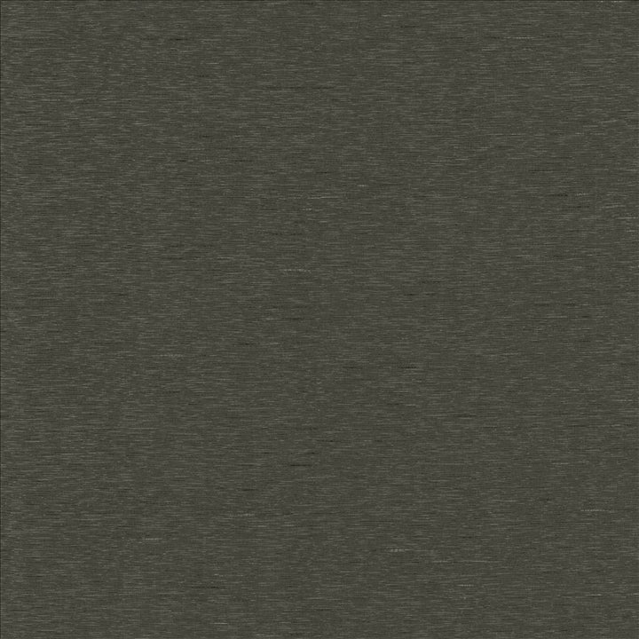 Boxwood Gravel by Kasmir Designer Fabric 5149 55% Cotton
45% Polyester
 TAIWAN </p><p>Repeat: Horizontal: N/A and Vertical: N/A 54 - 55 - Swanky Fabrics -