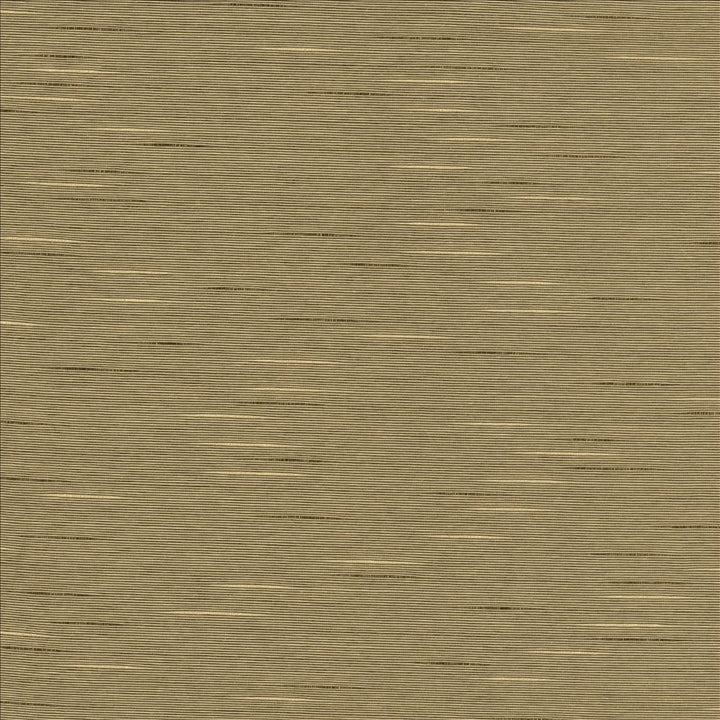 Boxwood Husk by Kasmir Designer Fabric 5149 55% Cotton
45% Polyester
 TAIWAN </p><p>Repeat: Horizontal: N/A and Vertical: N/A 54 - 55 - Swanky Fabrics -