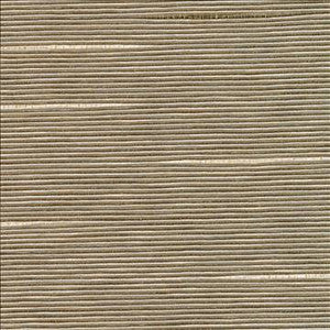 Boxwood Husk by Kasmir Designer Fabric
