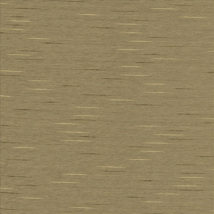 Boxwood Husk by Kasmir Designer Fabric See sample 55% Cotton
45% Polyester
 TAIWAN 30,000 Wyzenbeek Double Rubs </p><p>Repeat: Horizontal: N/A and Vertical: N/A 54 - Swanky Fabrics -