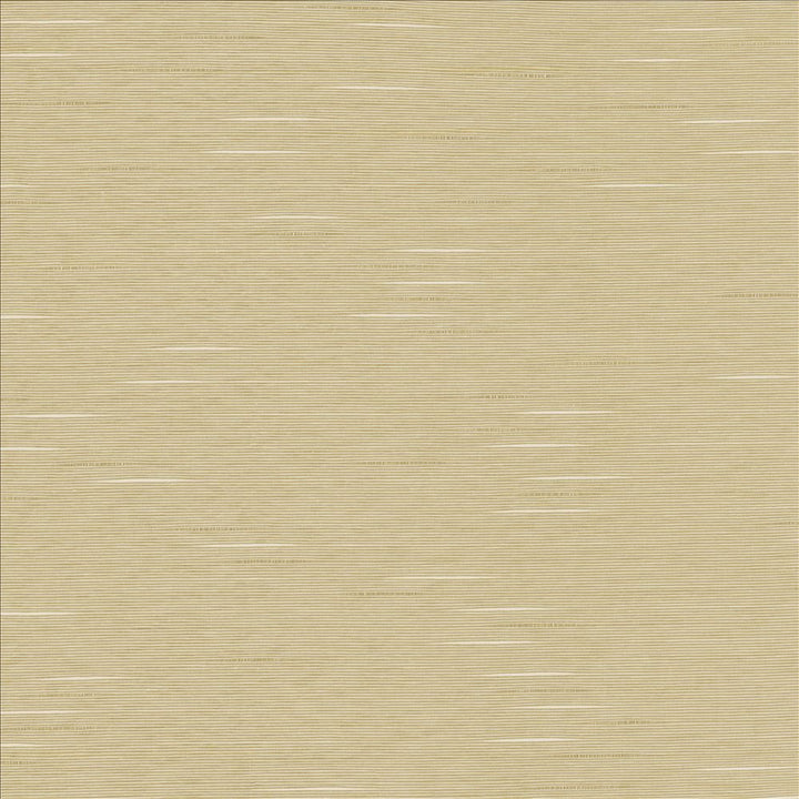 Boxwood Oyster by Kasmir Designer Fabric 5149 55% Cotton
45% Polyester
 TAIWAN 30,000 Wyzenbeek Double Rubs </p><p>Repeat: Horizontal: N/A and Vertical: N/A 54 - Swanky Fabrics -