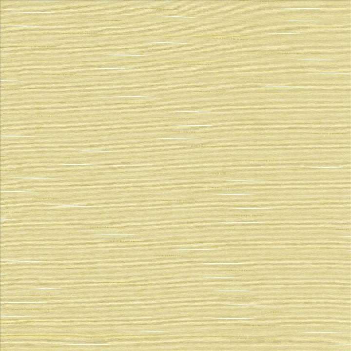 Boxwood Oyster by Kasmir Designer Fabric 5002 55% Cotton 45% Polyester TAIWAN 30,000 Wyzenbeek Double Rubs Horizontal: 0 Inches and Vertical: 0 Inches 54 - 55 - Swanky Fabrics -