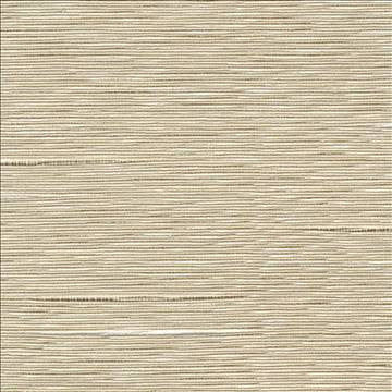 Boxwood Oyster by Kasmir Designer Fabric 5002 55% Cotton 45% Polyester TAIWAN 30,000 Wyzenbeek Double Rubs H: N/A, V: N/A 54 - 55 - Swanky Fabrics - Kasmir