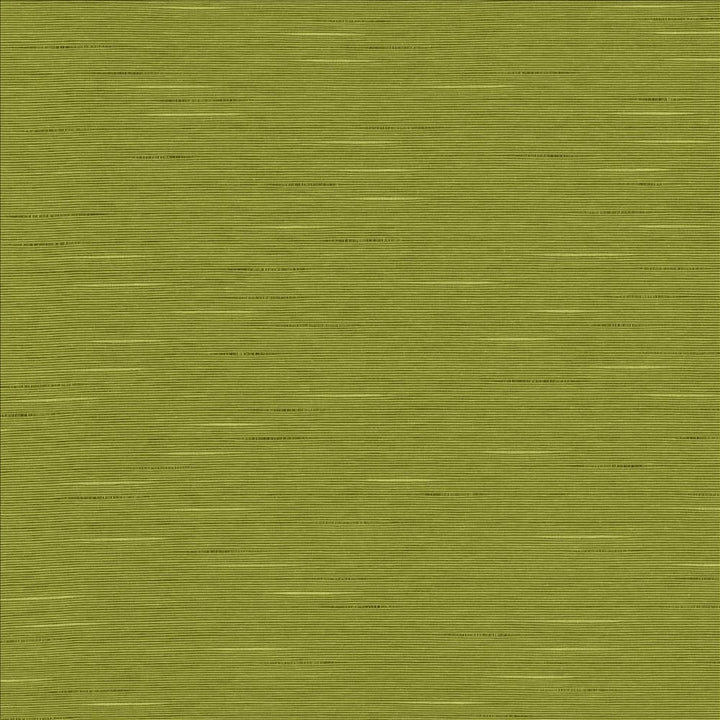 Boxwood Pear by Kasmir Designer Fabric See sample 55% Cotton
45% Polyester
 TAIWAN 30,000 Wyzenbeek Double Rubs </p><p>Repeat: Horizontal: N/A and Vertical: N/A 54 - Swanky Fabrics -