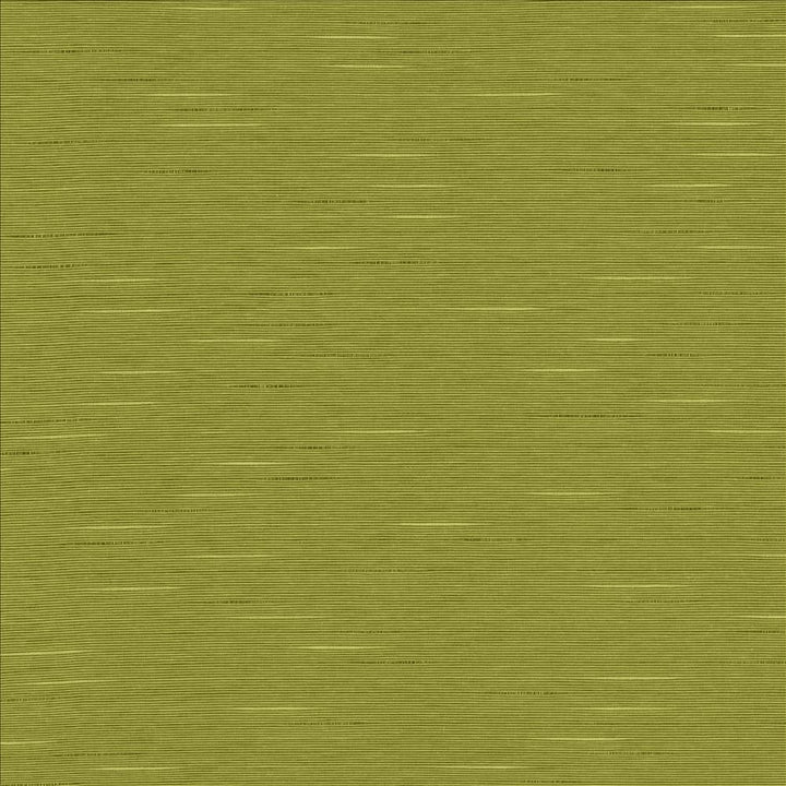 Boxwood Pear by Kasmir Designer Fabric 5149 55% Cotton
45% Polyester
 TAIWAN </p><p>Repeat: Horizontal: N/A and Vertical: N/A 54 - 55 - Swanky Fabrics -