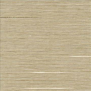 Boxwood Putty by Kasmir Designer Fabric