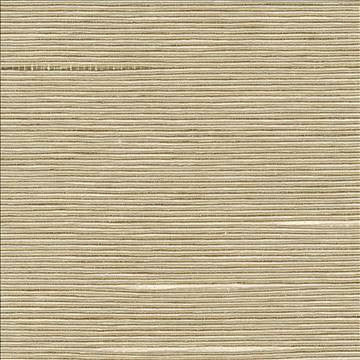 Boxwood Putty by Kasmir Designer Fabric 5002 55% Cotton 45% Polyester TAIWAN 30,000 Wyzenbeek Double Rubs H: N/A, V: N/A 54 - 55 - Swanky Fabrics - Kasmir