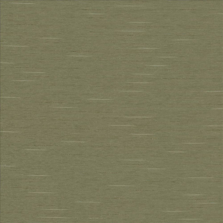 Boxwood Soapstone by Kasmir Designer Fabric See sample 55% Cotton
45% Polyester
 TAIWAN 30,000 Wyzenbeek Double Rubs </p><p>Repeat: Horizontal: N/A and Vertical: N/A 54 - Swanky Fabrics -