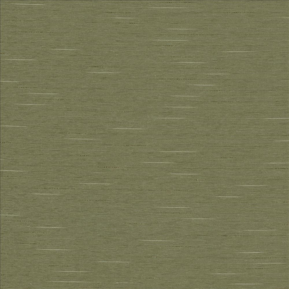 Boxwood Soapstone by Kasmir Designer Fabric 5149 55% Cotton
45% Polyester
 TAIWAN 30,000 Wyzenbeek Double Rubs </p><p>Repeat: Horizontal: N/A and Vertical: N/A 54 - Swanky Fabrics -