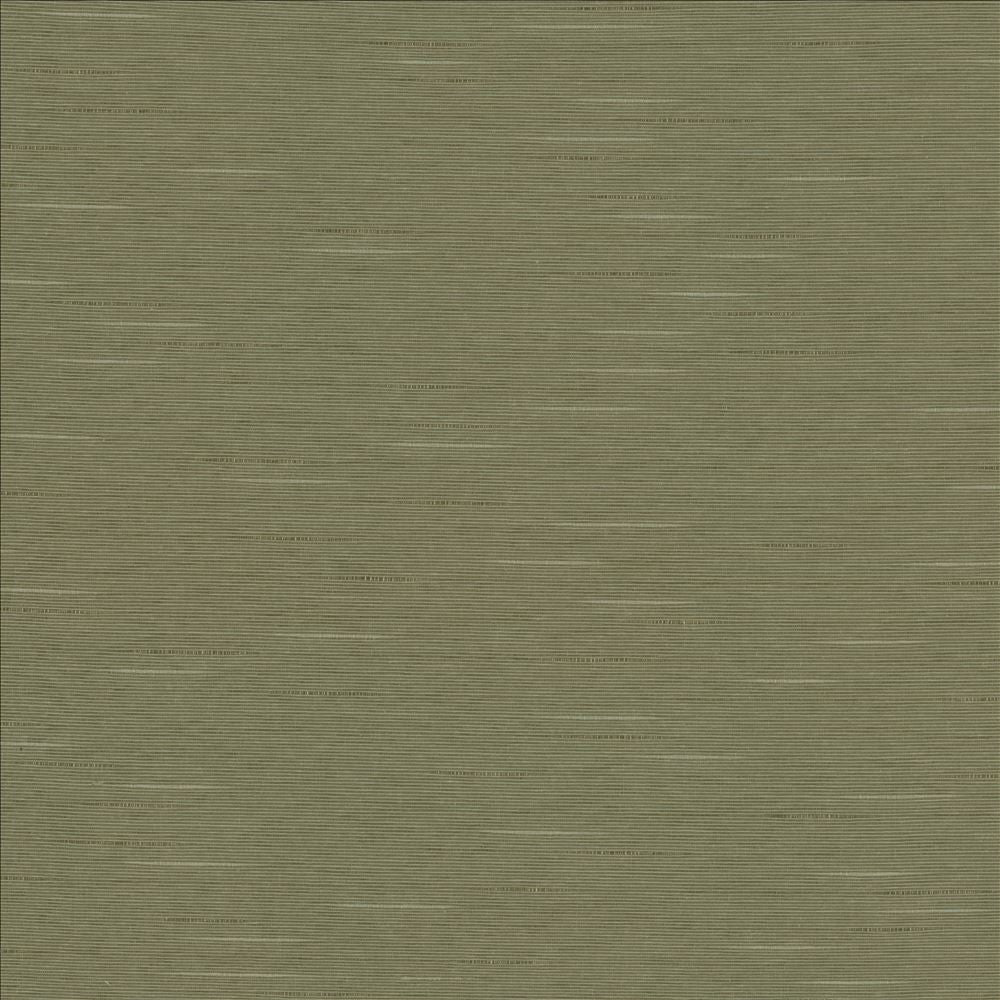 Boxwood Soapstone  by Kasmir Designer Fabric 5149 55% Cotton
45% Polyester
 TAIWAN 30,000 Wyzenbeek Double Rubs Horizontal: N/A and Vertical: N/A 54  - Swanky Fabrics -