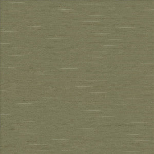 Boxwood Soapstone by Kasmir Designer Fabric