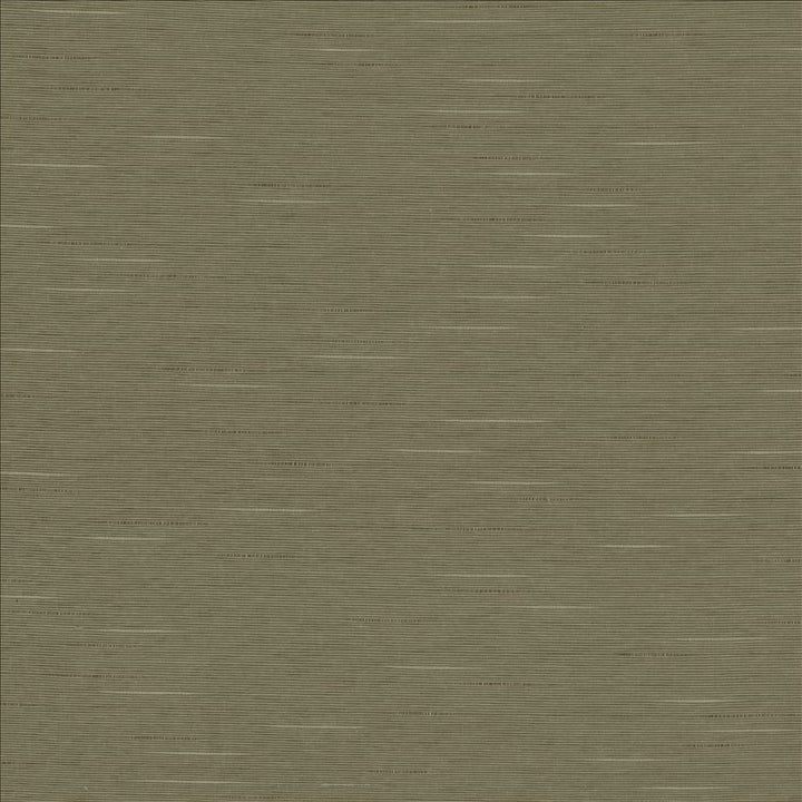 Boxwood Soapstone by Kasmir Designer Fabric 5149 55% Cotton
45% Polyester
 TAIWAN </p><p>Repeat: Horizontal: N/A and Vertical: N/A 54 - 55 - Swanky Fabrics -