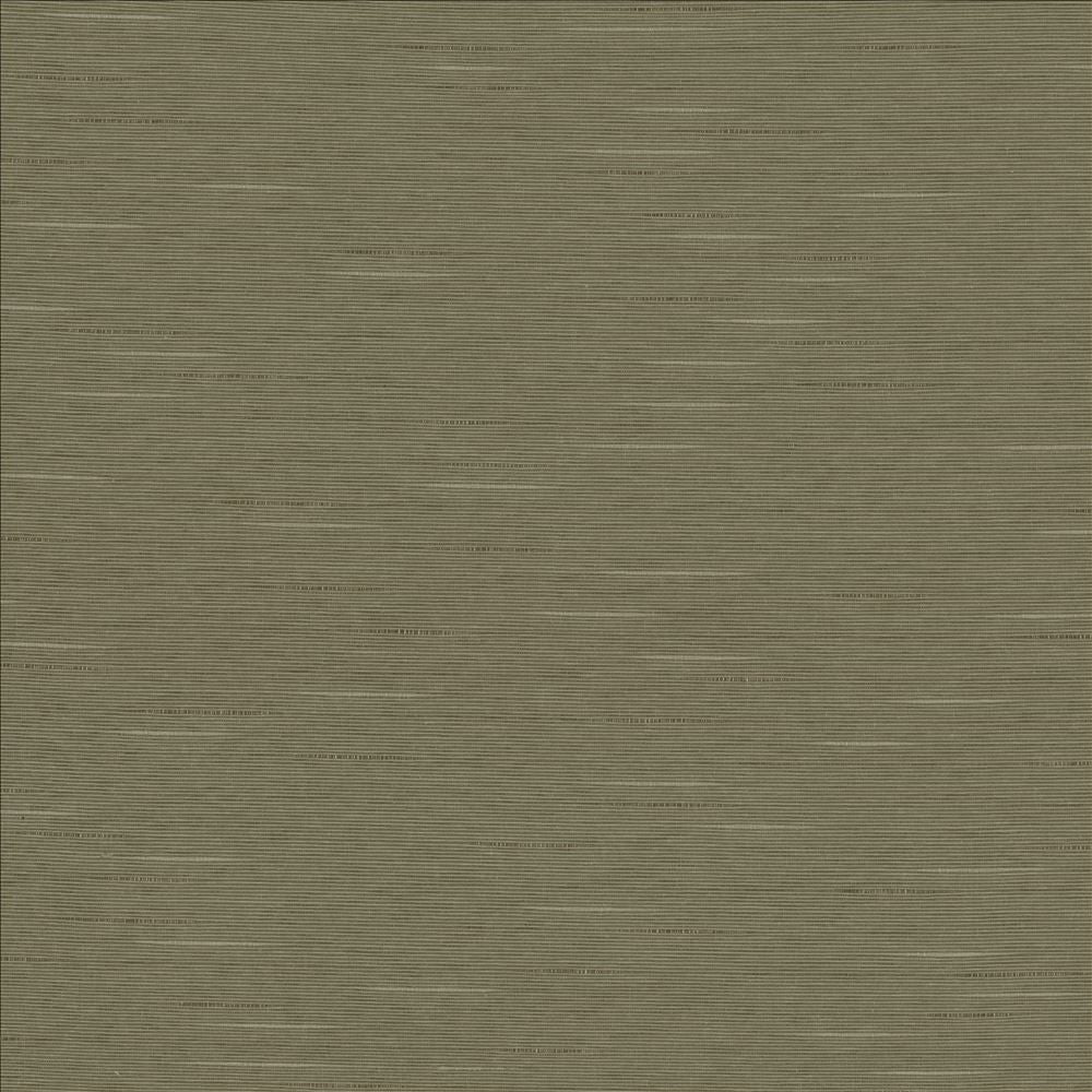 Boxwood Soapstone by Kasmir Designer Fabric 5149 55% Cotton
45% Polyester
 TAIWAN </p><p>Repeat: Horizontal: N/A and Vertical: N/A 54 - 55 - Swanky Fabrics -