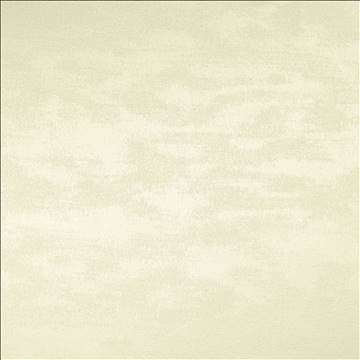 Braccio Cream by Kasmir Designer Fabric 5126 100% Polyester INDIA 30,000 Wyzenbeek Double Rubs H: N/A, V: N/A 54 - Swanky Fabrics - Kasmir