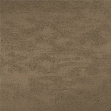 Braccio Mocha by Kasmir Designer Fabric 5126 100% Polyester INDIA 30,000 Wyzenbeek Double Rubs H: N/A, V: N/A 54 - Swanky Fabrics - Kasmir