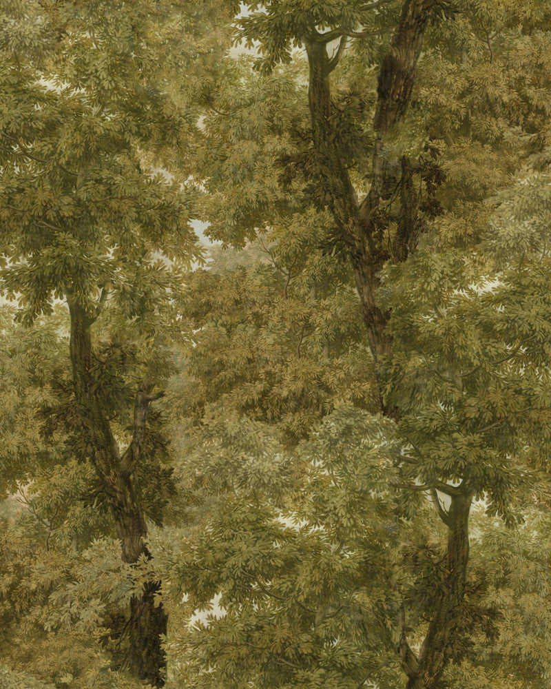 Branchy Autumn Wallpaper by Mind the Gap Designer Wallpaper ORIENT EXPRESS Non-woven Made in Europe Paste the wall 3 rolls x 20.5 x 3.25 yards - Swanky Fabrics -