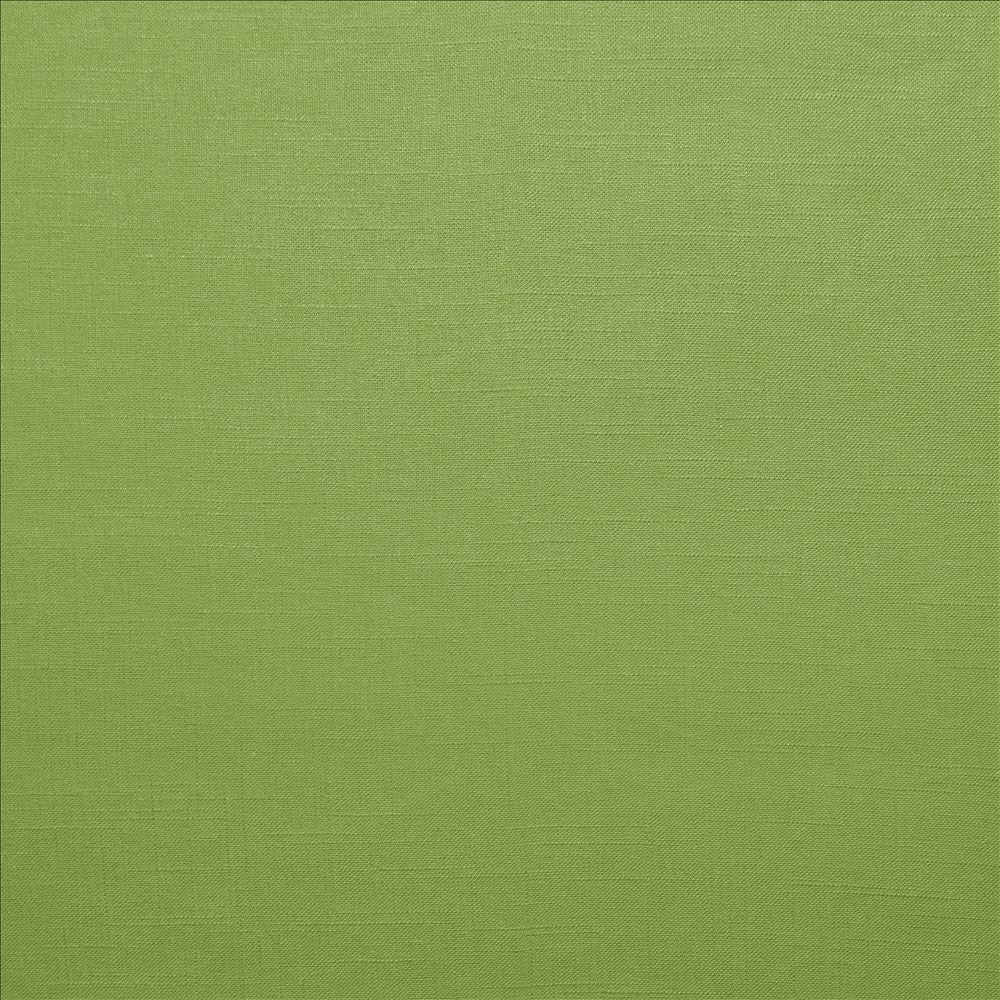 Brandenburg Leaf by Kasmir Designer Fabric 5178 55% Linen
45% Viscose
 CHINA 12,000 Wyzenbeek Double Rubs </p><p>Repeat: Horizontal: N/A and Vertical: N/A 54 - Swanky Fabrics -
