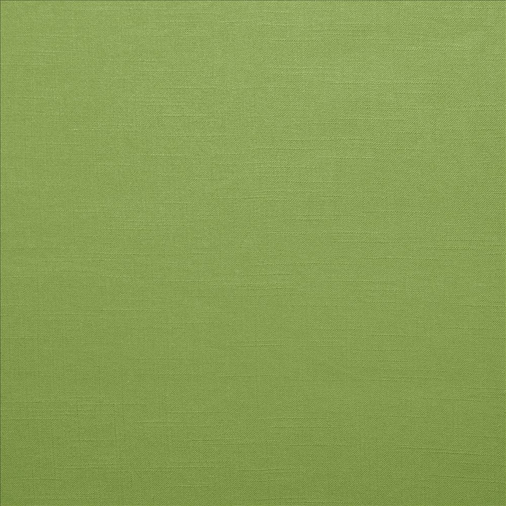 Brandenburg Leaf by Kasmir Designer Fabric 5178 55% Linen
45% Viscose
 CHINA 12,000 Wyzenbeek Double Rubs </p><p>Repeat: Horizontal: N/A and Vertical: N/A 54 - Swanky Fabrics -