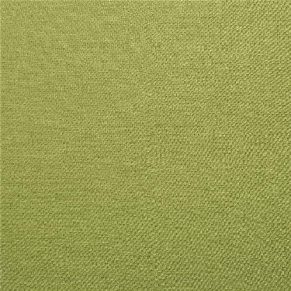 Brandenburg Palm by Kasmir Designer Fabric 5178 55% Linen
45% Viscose
 CHINA 12,000 Wyzenbeek Double Rubs </p><p>Repeat: Horizontal: N/A and Vertical: N/A 54 - Swanky Fabrics -