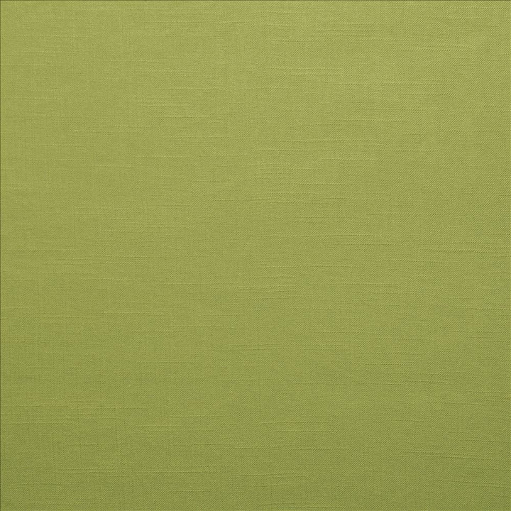 Brandenburg Palm by Kasmir Designer Fabric 5178 55% Linen
45% Viscose
 CHINA 12,000 Wyzenbeek Double Rubs </p><p>Repeat: Horizontal: N/A and Vertical: N/A 54 - Swanky Fabrics -
