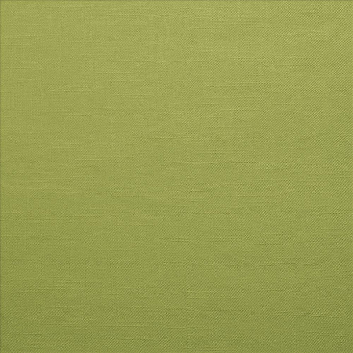 Brandenburg Palm by Kasmir Designer Fabric 5178 55% Linen
45% Viscose
 CHINA </p><p>Repeat: Horizontal: N/A and Vertical: N/A 54 - Swanky Fabrics -