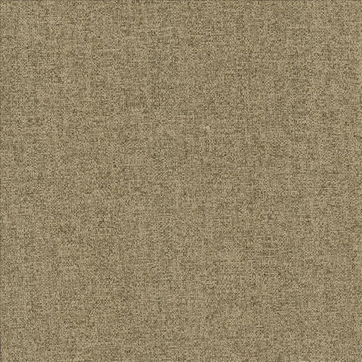 Brandon Mushroom by Kasmir Designer Fabric 5159 100% Polyester
 CHINA 50,000 Wyzenbeek Double Rubs </p><p>Repeat: Horizontal: N/A and Vertical: N/A 54 - Swanky Fabrics -