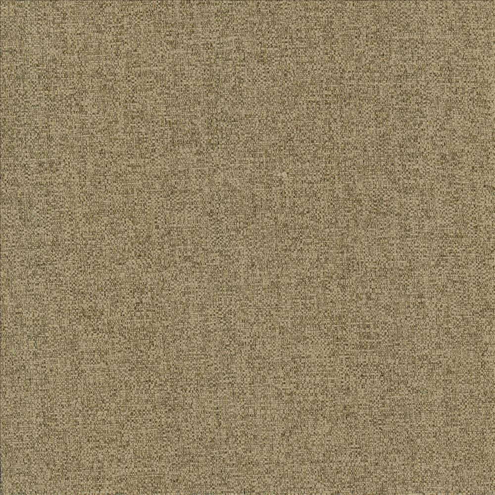 Brandon Mushroom by Kasmir Designer Fabric 5159 100% Polyester CHINA 50,000 Wyzenbeek Double Rubs Horizontal: 0 Inches and Vertical: 0 Inches 54 - Swanky Fabrics -