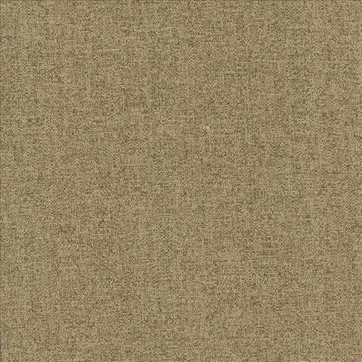 Brandon Mushroom by Kasmir Designer Fabric See sample 100% Polyester
 CHINA 50,000 Wyzenbeek Double Rubs </p><p>Repeat: Horizontal: N/A and Vertical: N/A 54 - Swanky Fabrics -