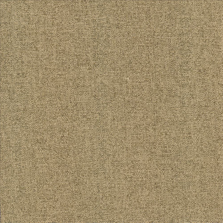 Brandon Mushroom by Kasmir Designer Fabric 5159 100% Polyester
 CHINA </p><p>Repeat: Horizontal: N/A and Vertical: N/A 54 - Swanky Fabrics -