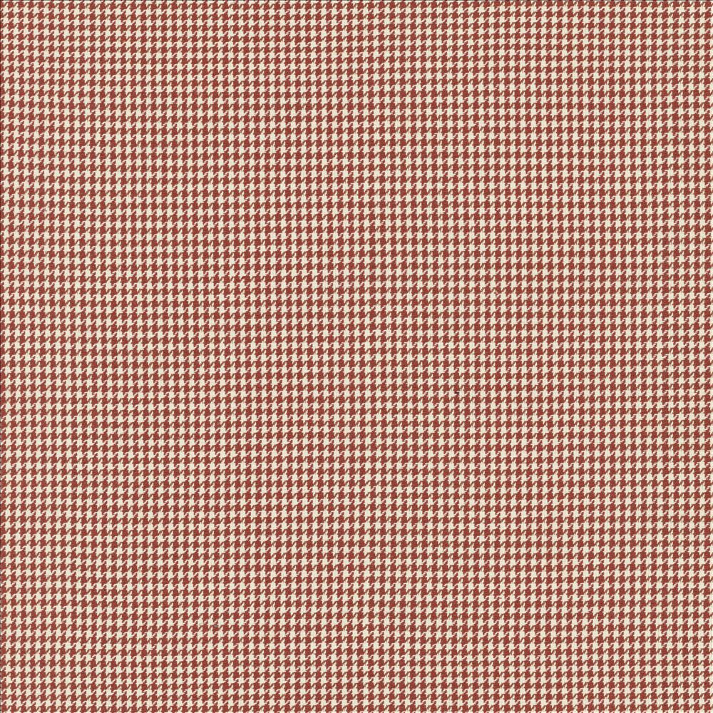 Breed Persimmon by Kasmir Designer Fabric 5146 100% Cotton INDIA 12,000 Wyzenbeek Double Rubs Horizontal: 2/8 inches and Vertical: 2/8 inches 54 - Swanky Fabrics -