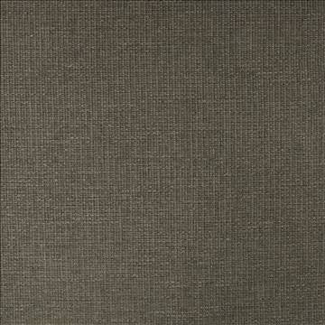 Briarwood Eclipse by Kasmir Designer Fabric 5101 80% Polyester 20% Acrylic CHINA 27,000 Wyzenbeek Double Rubs H: N/A, V: N/A 55 - Swanky Fabrics - Kasmir