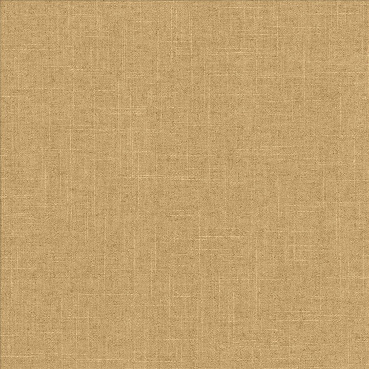 Brigadoon Canyon by Kasmir Designer Fabric 5048 55% Linen
45% Rayon
 CHINA 30,000 Wyzenbeek Double Rubs </p><p>Repeat: Horizontal: N/A and Vertical: N/A 54 - Swanky Fabrics -