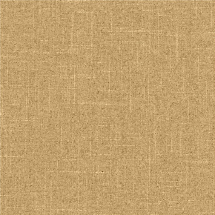 Brigadoon Canyon by Kasmir Designer Fabric 1377 55% Linen
45% Rayon
 CHINA </p><p>Repeat: Horizontal: N/A and Vertical: N/A 54 - 55 - Swanky Fabrics -