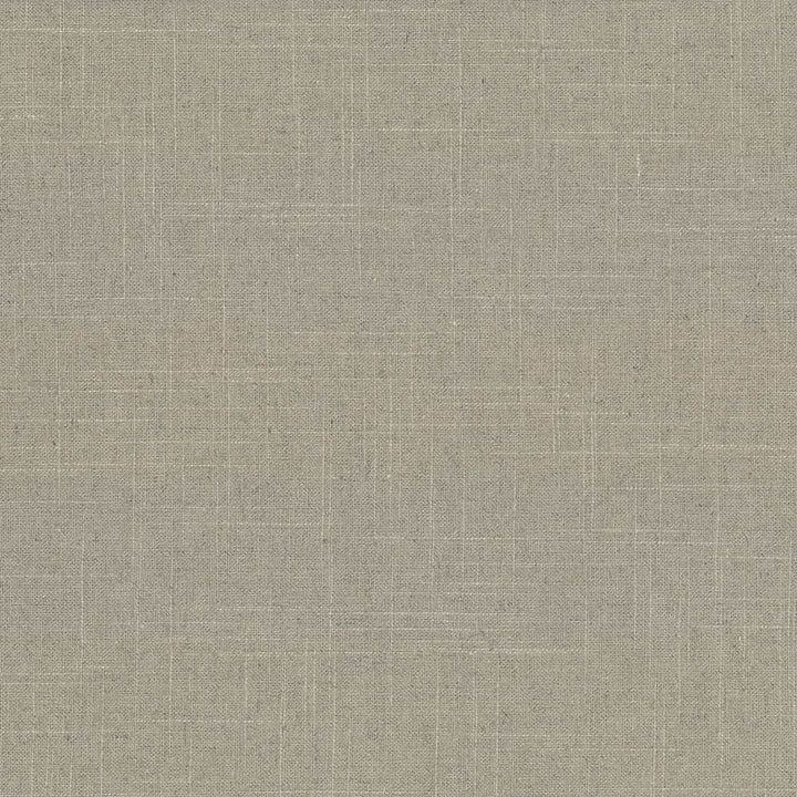 Brigadoon Cement  by Kasmir Designer Fabric 1377 55% Linen
45% Rayon
 CHINA 12,000 Wyzenbeek Double Rubs Horizontal: N/A and Vertical: N/A 54  - Swanky Fabrics -