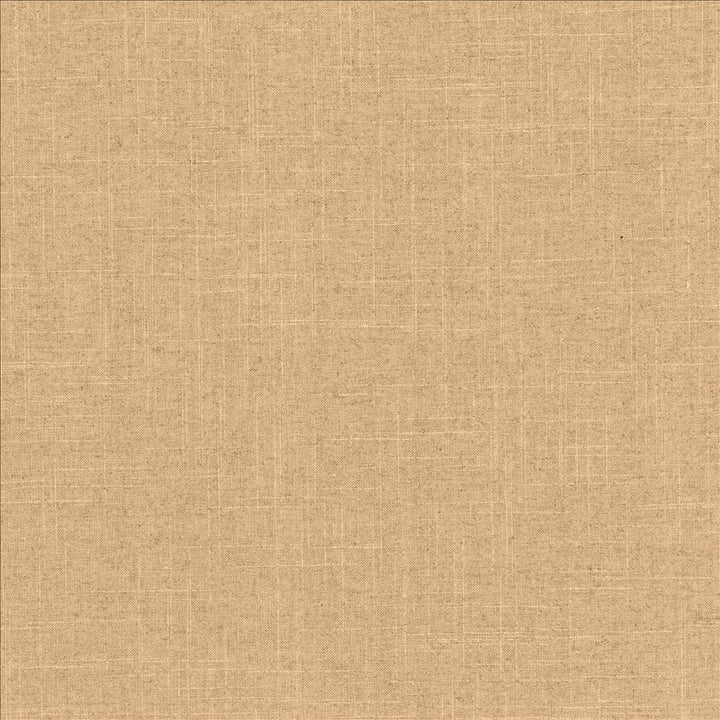 Brigadoon Clay by Kasmir Designer Fabric 5175 55% Linen
45% Rayon
 CHINA </p><p>Repeat: Horizontal: N/A and Vertical: N/A 54 - 55 - Swanky Fabrics -