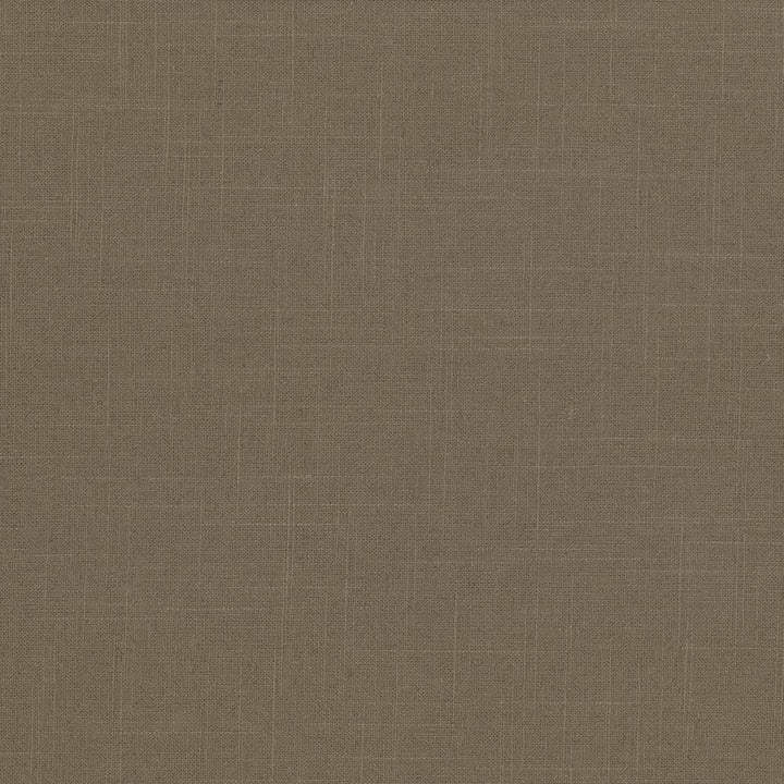 Brigadoon Hazelnut by Kasmir Designer Fabric 1377 55% Linen 45% Rayon CHINA 12,000 Wyzenbeek Double Rubs Horizontal: 0 Inches and Vertical: 0 Inches 54 - 55 - Swanky Fabrics -