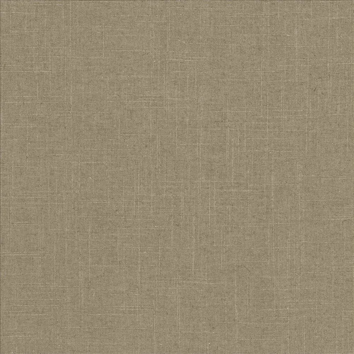 Brigadoon Iron by Kasmir Designer Fabric 5048 55% Linen
45% Rayon
 CHINA 30,000 Wyzenbeek Double Rubs </p><p>Repeat: Horizontal: N/A and Vertical: N/A 54 - Swanky Fabrics -